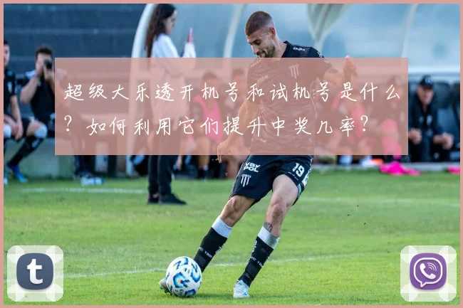 超级大乐透开机号和试机号是什么？如何利用它们提升中奖几率？