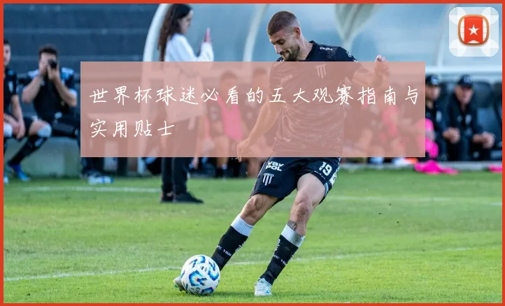 世界杯球迷必看的五大观赛指南与实用贴士